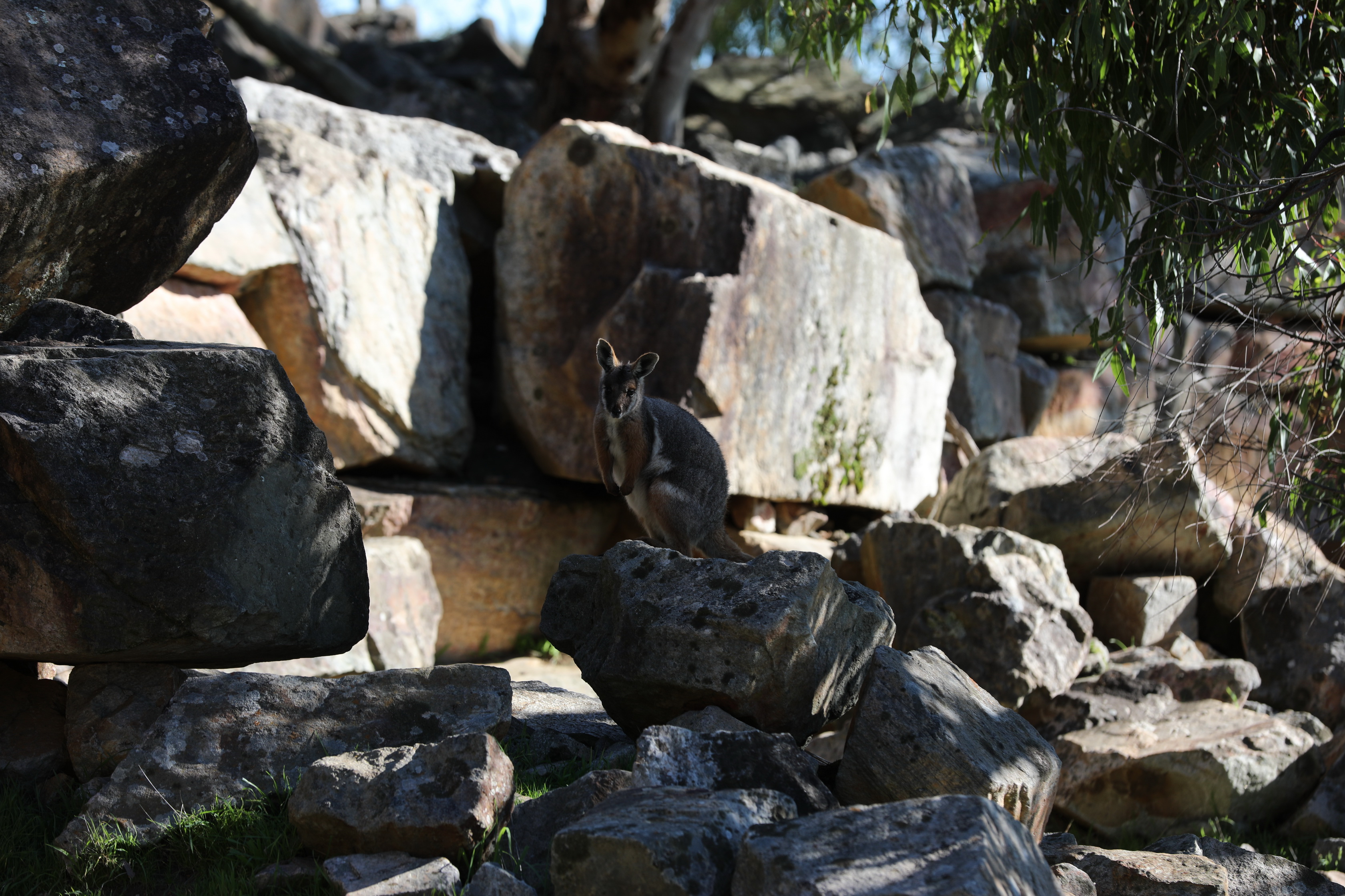 2019 07 19 14 16 40 Canon EOS 5D Mark IV 0024